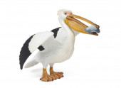 Figura Pelicano Papo