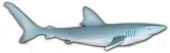 Figura Tubarão Azul 15cm
