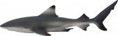 Figura Tubarão de pontas Negras do Recife