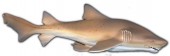 Figura Tubarão Touro