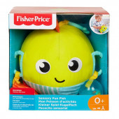 Fisher Price Peixe de Atividades