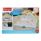 Ginásio Recém Nascido Fisher-Price