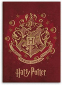 Manta Polar Harry Potter Hogwarts