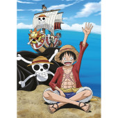 Manta Polar One Piece Pirate