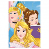 Manta Polar Princesas Disney Castelo