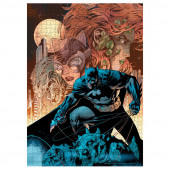 Puzzle Batman Catwoman DC Comics 1000 peças