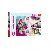 Puzzle Gatitos Lindos 160 peças