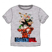 T-Shirt Dragon Ball Cinza