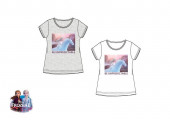 T-Shirt Elsa e Nokk Frozen 2 Sortida